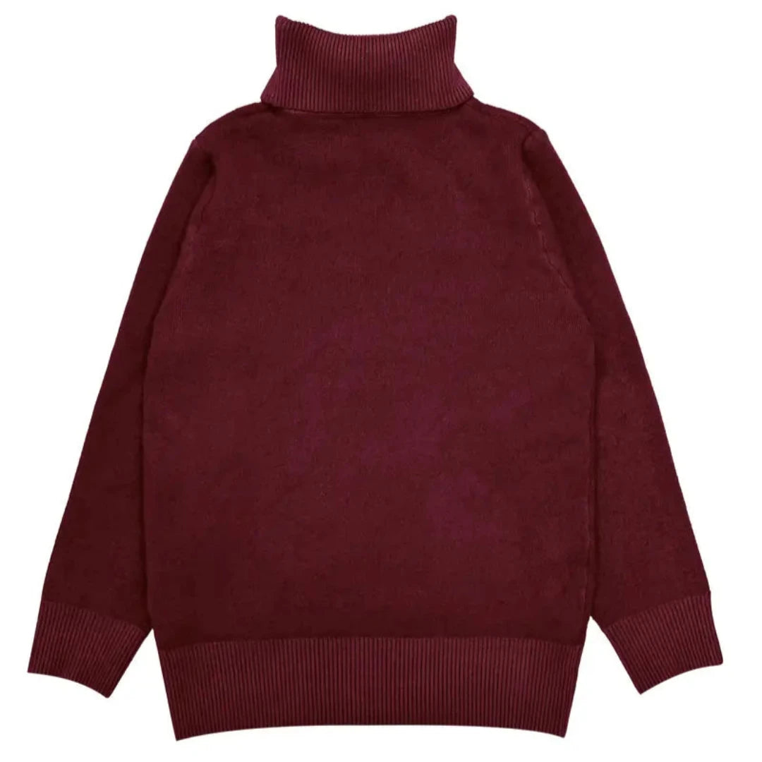 Gia | Turtle Neck Pullover Sweater