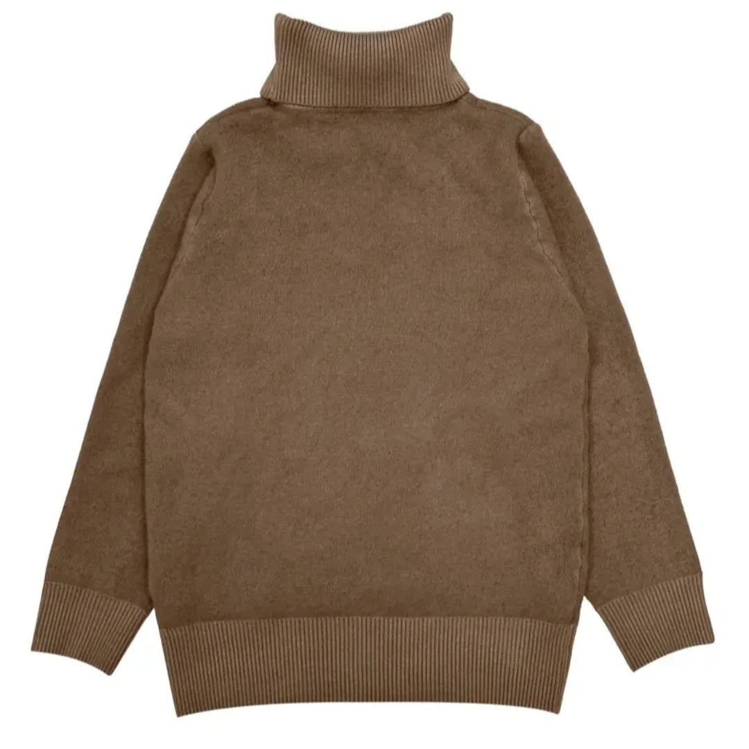 Gia | Turtle Neck Pullover Sweater